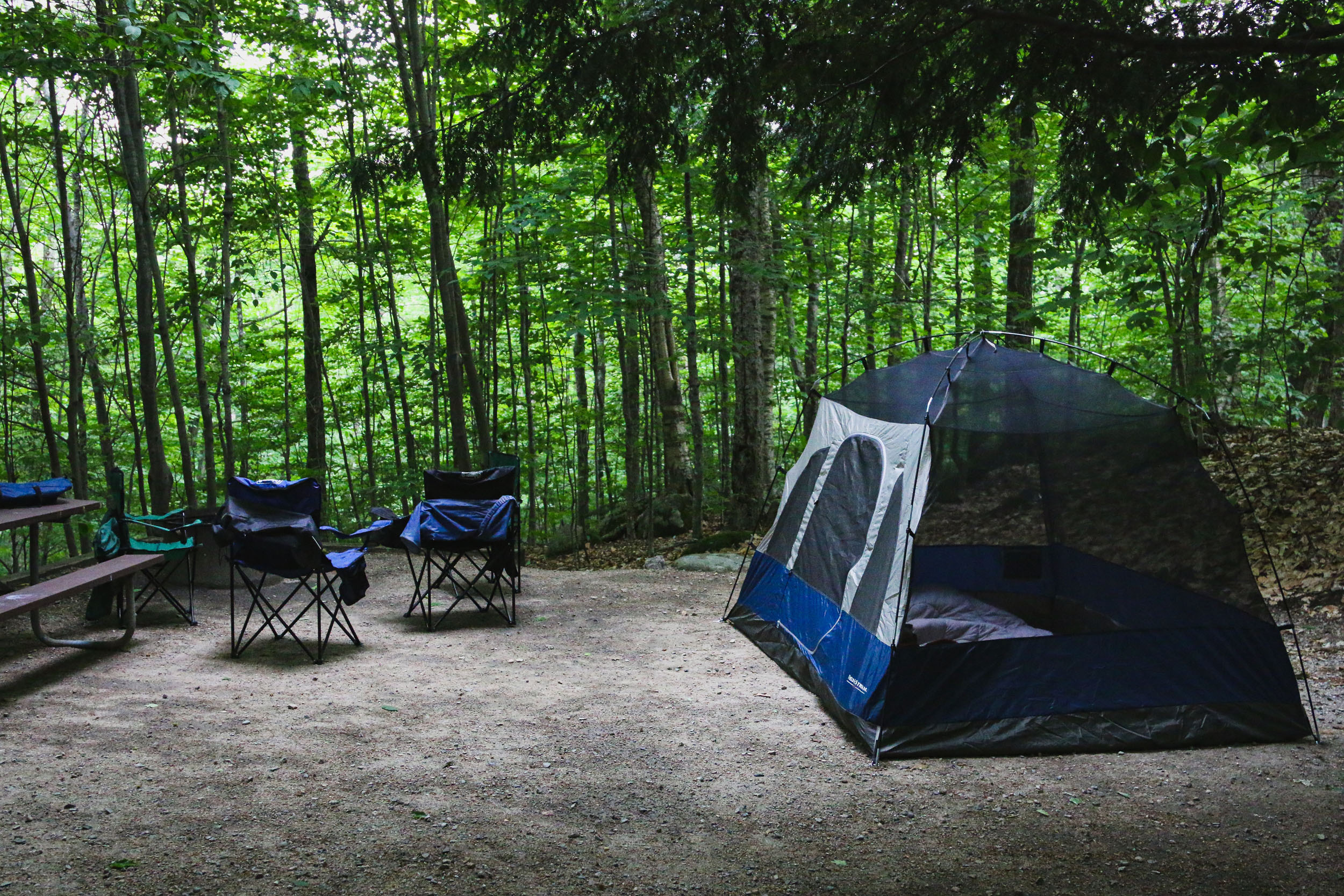 Shaded tent campsite at Newport RV Park in Portsmouth, Rhode Island